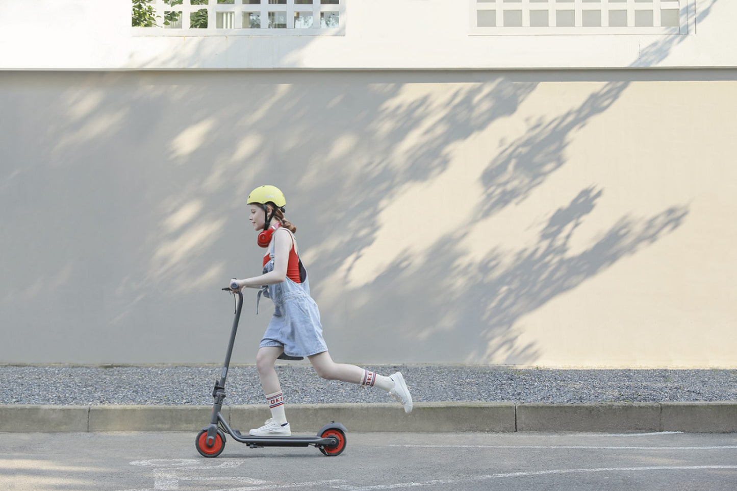 SEGWAY C20