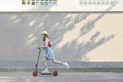 SEGWAY C20