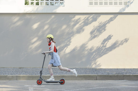 SEGWAY C20