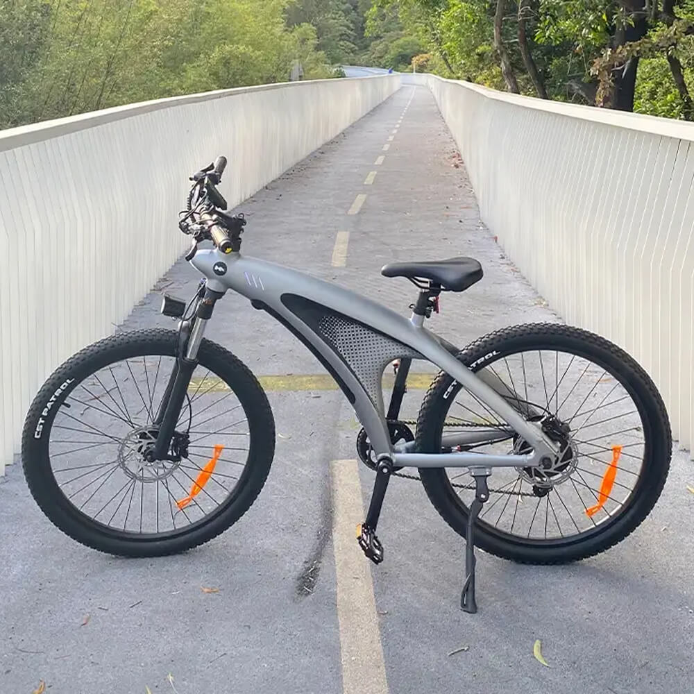 Vélo Électrique HX Q5
