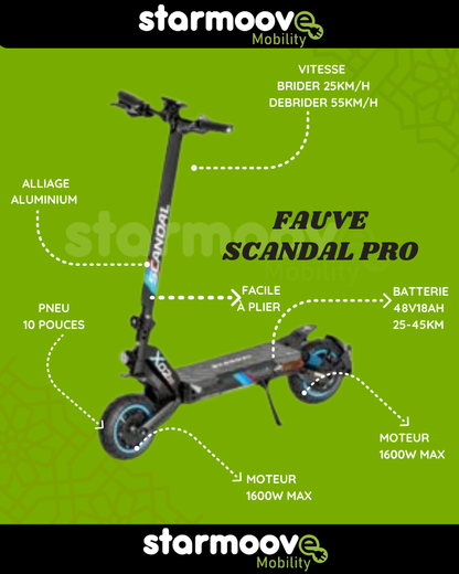 FAUVE SCANDAL PRO