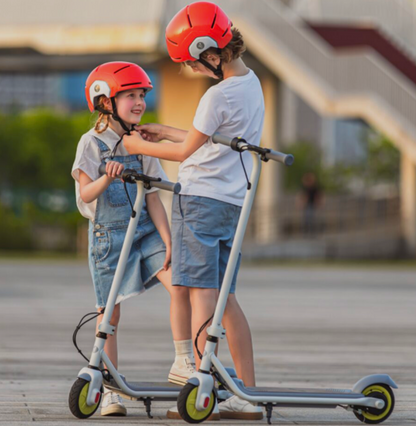 SEGWAY ZING C8