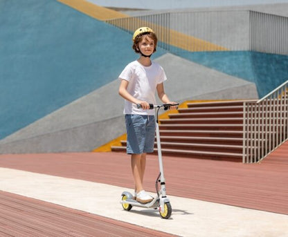 SEGWAY ZING C8