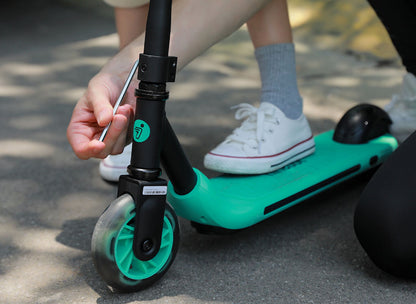 SEGWAY ZING A6