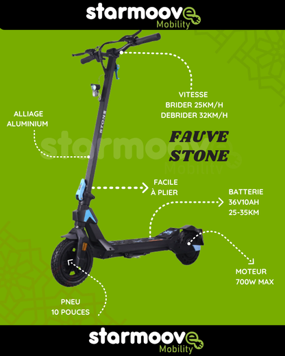 FAUVE STONE