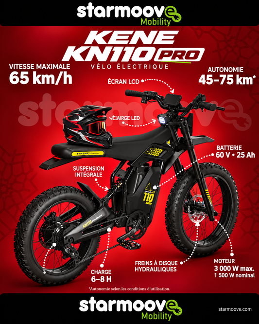 MOTO ÉLECTRIQUE KENE KN110 PRO