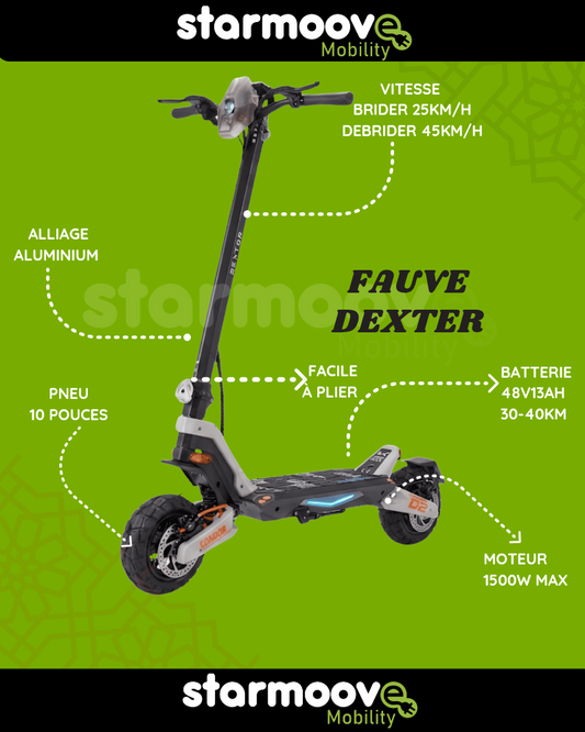 TROTTINETTE ÉLECTRIQUE FAUVE DEXTER