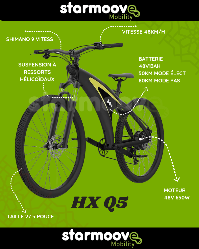 Vélo Électrique HX Q5