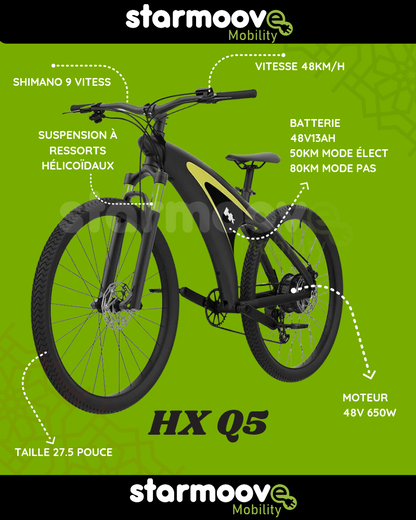 Vélo Électrique HX Q5