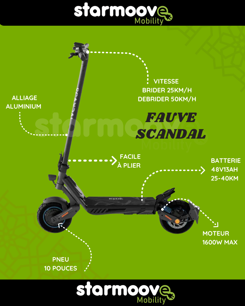 FAUVE SCANDAL