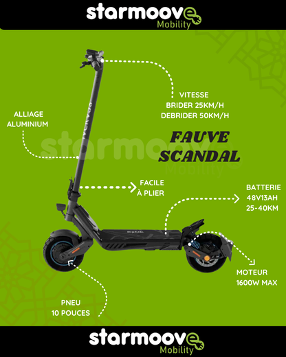 FAUVE SCANDAL