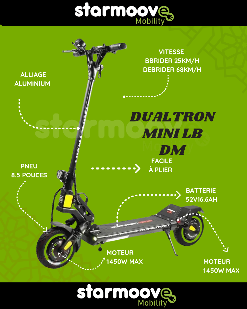 DUALTRON MINI SPÉCIAL   LONG BODY DOUBLE MOTEUR 15.6Ah